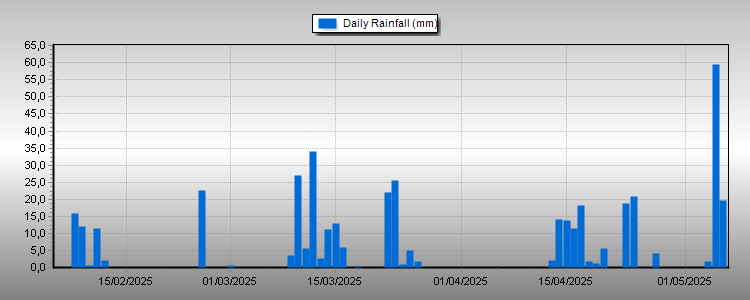 Daily Rainfall